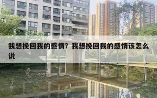 我想挽回我的感情？我想挽回我的感情該怎么說