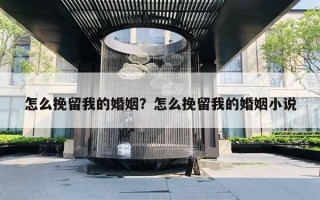 怎么挽留我的婚姻？怎么挽留我的婚姻小說