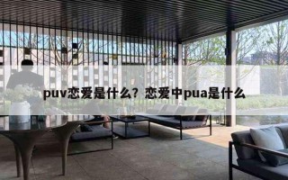 puv戀愛是什么？戀愛中pua是什么