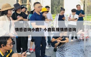 情感咨詢小鹿？小鹿亂撞情感咨詢