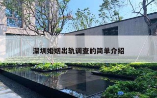 深圳婚姻出軌調(diào)查的簡單介紹