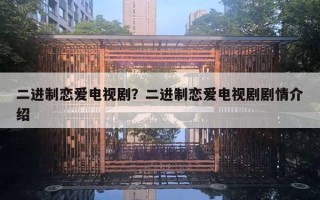 二進(jìn)制戀愛電視??？二進(jìn)制戀愛電視劇劇情介紹