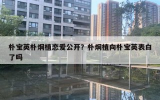 樸寶英樸炯植戀愛公開？樸炯植向樸寶英表白了嗎