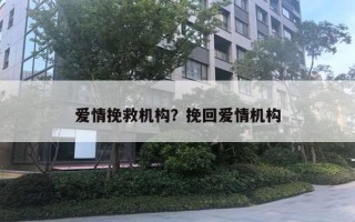 愛情挽救機構(gòu)？挽回愛情機構(gòu)