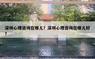 深圳心理咨詢?cè)谀膬海可钲谛睦碜稍冊(cè)谀膬汉?