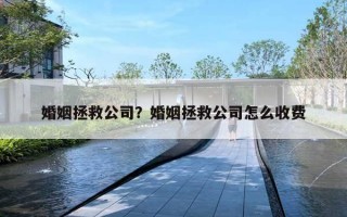 婚姻拯救公司？婚姻拯救公司怎么收費(fèi)