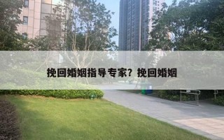 挽回婚姻指導(dǎo)專家？挽回婚姻