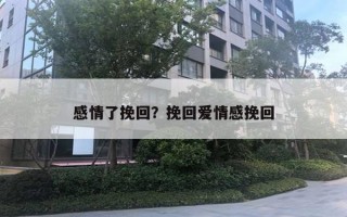 感情了挽回？挽回愛(ài)情感挽回