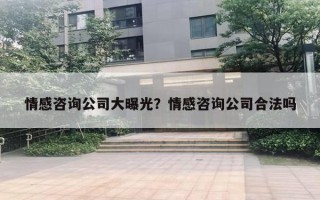 情感咨詢公司大曝光？情感咨詢公司合法嗎