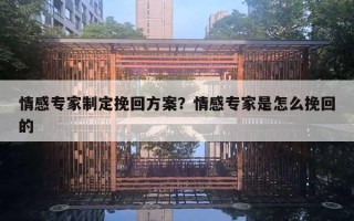 情感專家制定挽回方案？情感專家是怎么挽回的