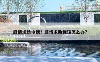 感情求助電話？感情求助我該怎么辦?