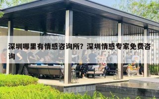 深圳哪里有情感咨詢所？深圳情感專家免費(fèi)咨詢