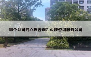 哪個公司的心理咨詢？心理咨詢服務(wù)公司