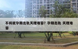 不將就孕期出軌天理難容？孕期出軌 天理難容