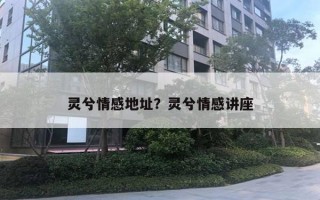 靈兮情感地址？靈兮情感講座