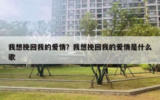 我想挽回我的愛情？我想挽回我的愛情是什么歌