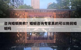 咨詢婚姻挽救？婚姻咨詢專家真的可以挽回婚姻嗎