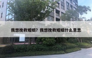 我想挽救婚姻？我想挽救婚姻什么意思