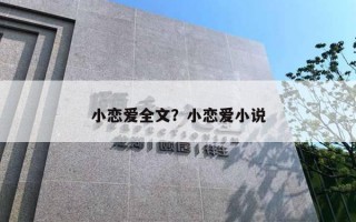 小戀愛全文？小戀愛小說