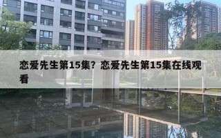 戀愛(ài)先生第15集？戀愛(ài)先生第15集在線觀看