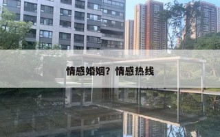 情感婚姻？情感熱線