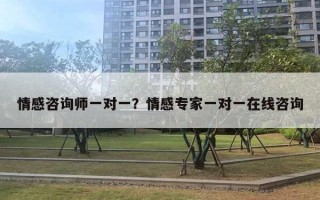 情感咨詢師一對(duì)一？情感專家一對(duì)一在線咨詢