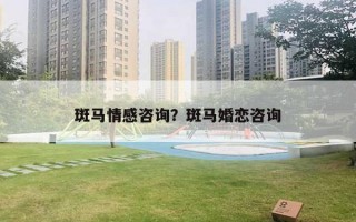 斑馬情感咨詢？斑馬婚戀咨詢