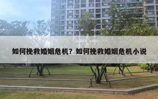 如何挽救婚姻危機(jī)？如何挽救婚姻危機(jī)小說(shuō)