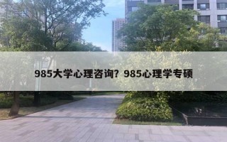 985大學(xué)心理咨詢？985心理學(xué)專碩