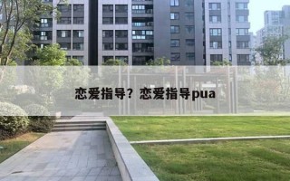 戀愛指導？戀愛指導pua